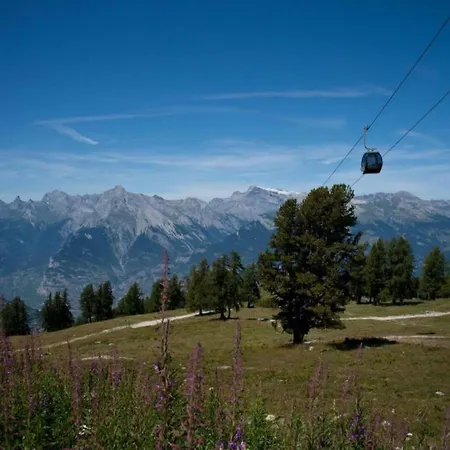 公寓 Inviting In 维松纳