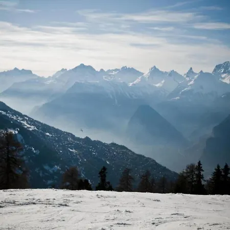 דירה Inviting In